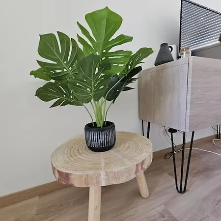 Le Cocon Joli Petit T2 - Proximite Puy Dufou Appartement *