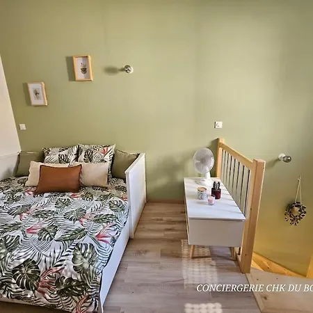 Le Cocon Joli Petit T2 - Proximite Puy Dufou Appartement