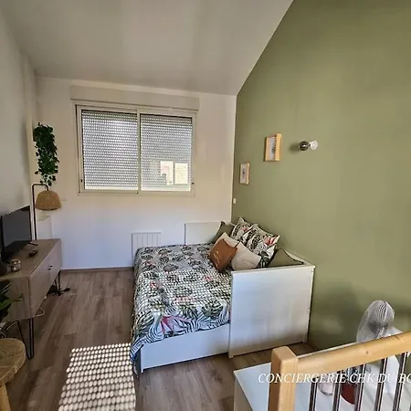 Le Cocon Joli Petit T2 - Proximite Puy Dufou Appartement