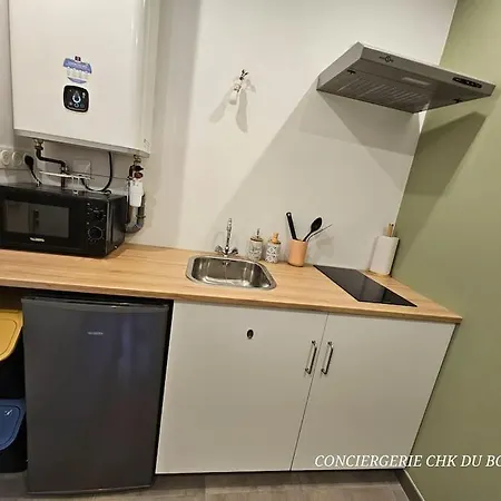 Le Cocon Joli Petit T2 - Proximite Puy Dufou Appartement