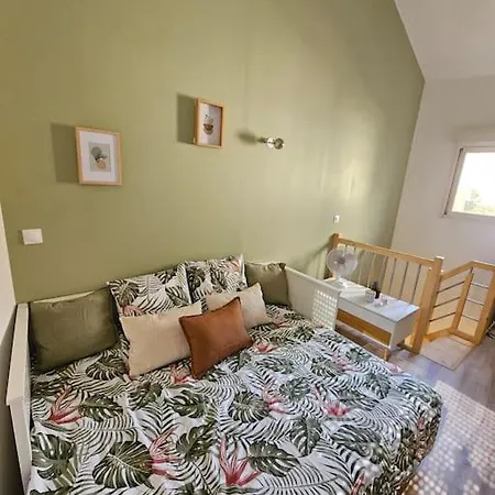 Le Cocon Joli Petit T2 - Proximite Puy Dufou Apartament *