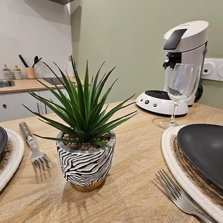 Le Cocon Joli Petit T2 - Proximite Puy Dufou Appartement *