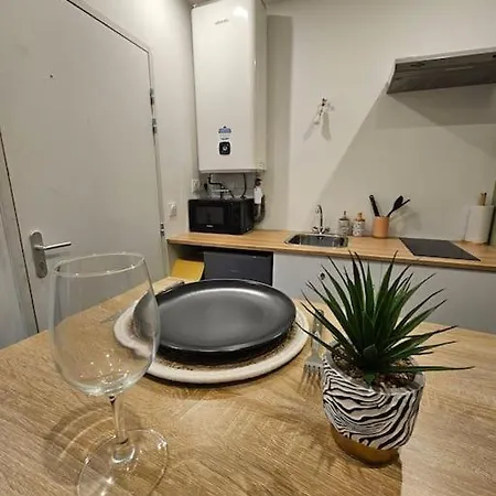 Appartement Le Cocon Joli Petit T2 - Proximite Puy Dufou Sevremont