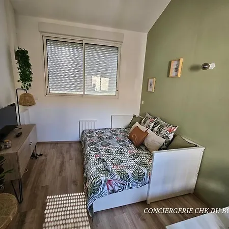 Appartement Le Cocon Joli Petit T2 - Proximite Puy Dufou *